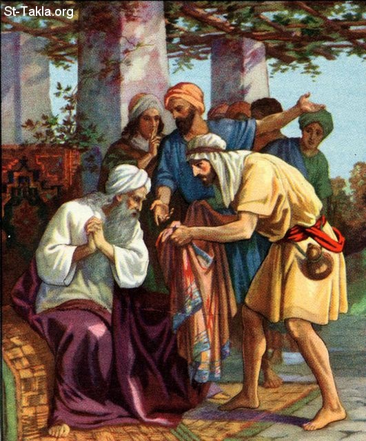 St-Takla.org Image: Jacob is told that a cloak was found, and Joseph his son is missing: Genesis 37:31-33     :          :  34: 31-33
